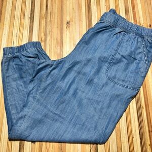 Talbots jogger tencel
Chambray nwot 2X